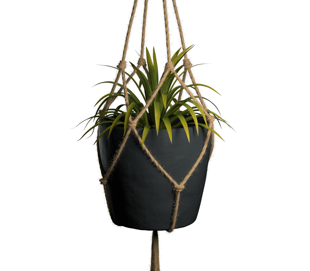 Hanging_Plant_11_0000