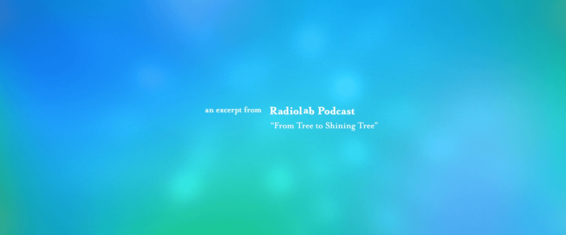 RadioLab_Trees_v01-0-00-11-17-00007